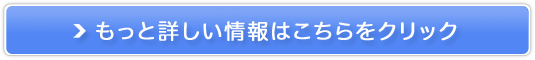 ITAL(AC^)u[X^[ICZ̔TCg